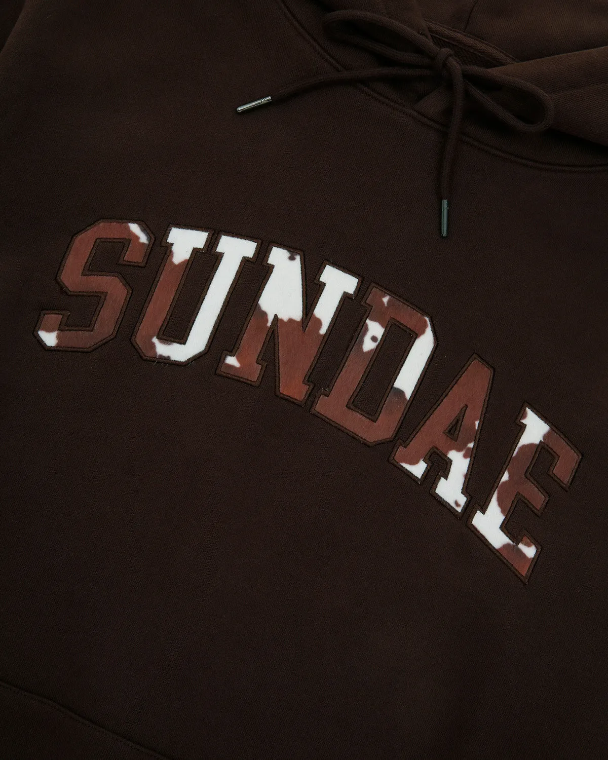 COWHIDE ARCH LOGO APPLIQUE HOODIE